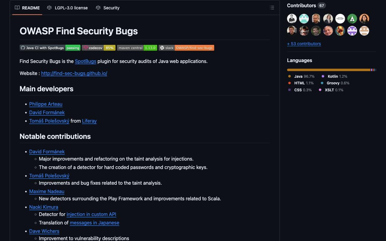 Find Security Bugs screenshot