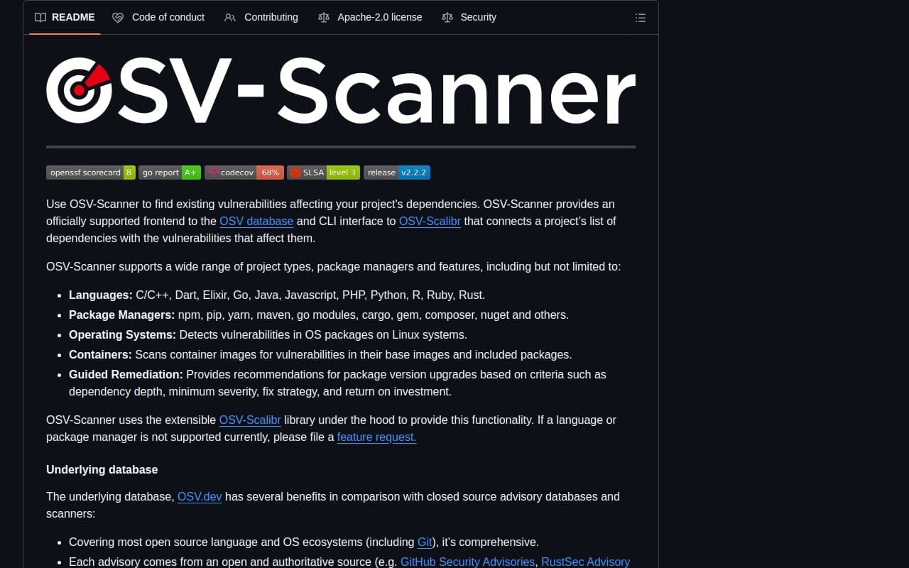 OSV-Scanner screenshot