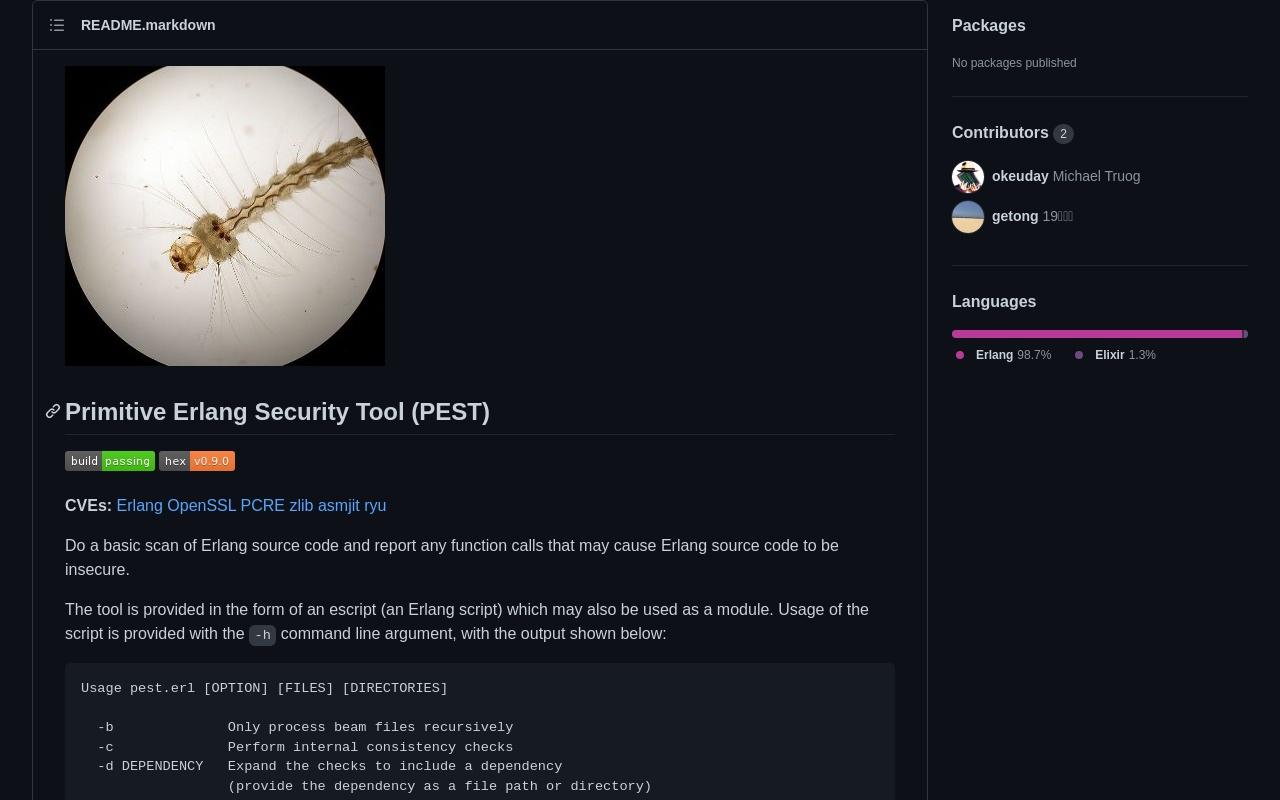 Primitive Erlang Security Tool (PEST) screenshot